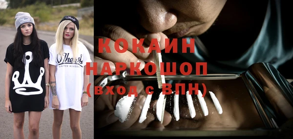 ГАЛЛЮЦИНОГЕННЫЕ ГРИБЫ Богданович