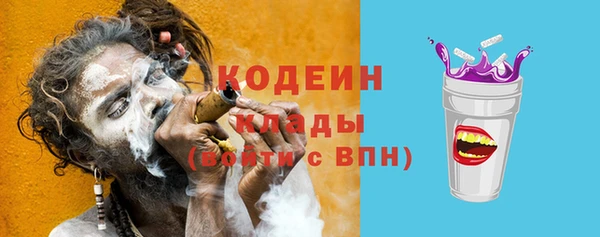 мдпв Богородск