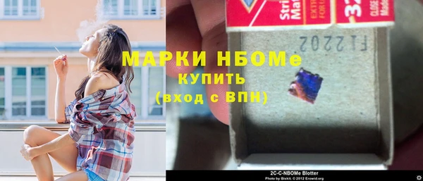 ГАЛЛЮЦИНОГЕННЫЕ ГРИБЫ Богданович