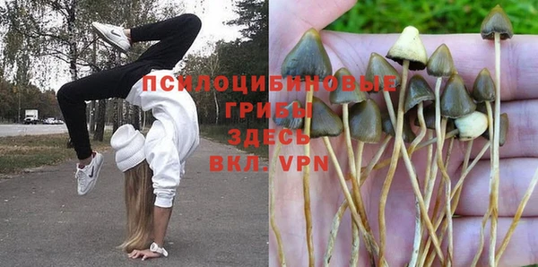 мдпв Богородск