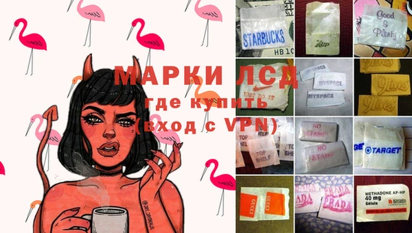 ГАЛЛЮЦИНОГЕННЫЕ ГРИБЫ Богданович