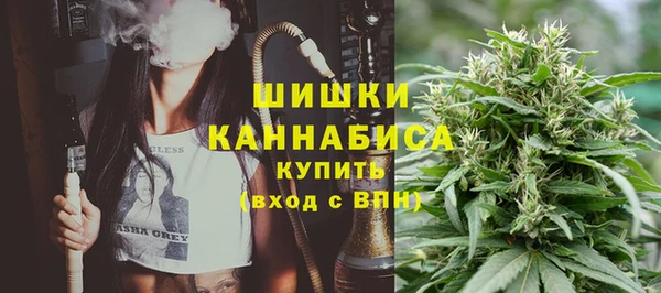мдпв Богородск