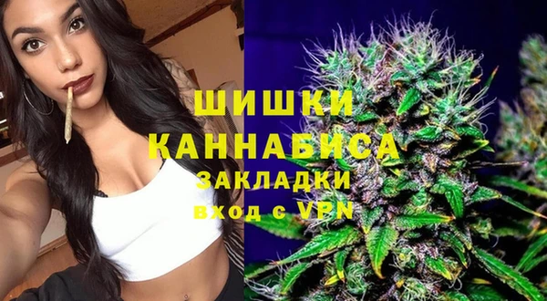 ГАЛЛЮЦИНОГЕННЫЕ ГРИБЫ Богданович