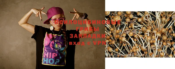 прущая мука Богородицк